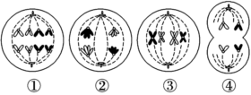 菁優(yōu)網