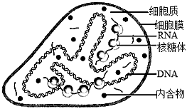 菁優(yōu)網(wǎng)