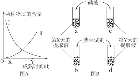 菁優(yōu)網