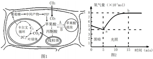 菁優(yōu)網(wǎng)