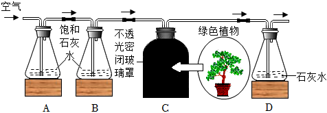 菁優(yōu)網(wǎng)