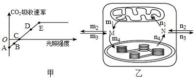 菁優(yōu)網(wǎng)