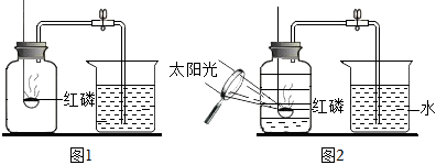 菁優(yōu)網