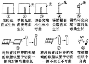 菁優(yōu)網