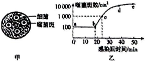 菁優(yōu)網