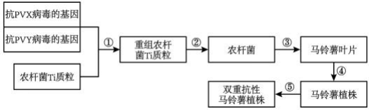 菁優(yōu)網