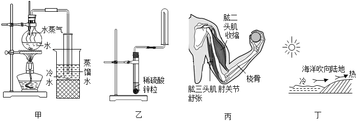 菁優(yōu)網(wǎng)