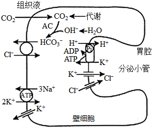 菁優(yōu)網(wǎng)