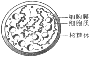 菁優(yōu)網