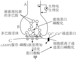 菁優(yōu)網(wǎng)