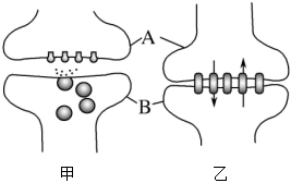 菁優(yōu)網(wǎng)