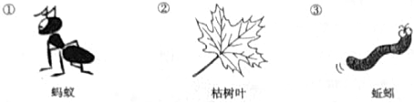 菁優(yōu)網