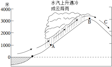 菁優(yōu)網