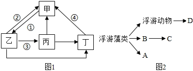 菁優(yōu)網(wǎng)