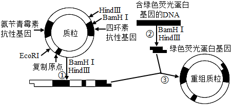 菁優(yōu)網(wǎng)