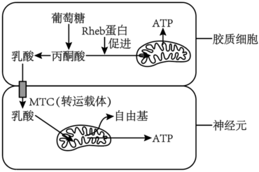 菁優(yōu)網