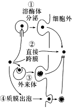 菁優(yōu)網(wǎng)