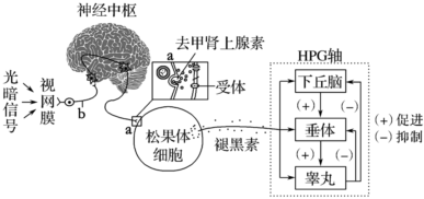 菁優(yōu)網