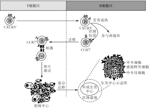 菁優(yōu)網