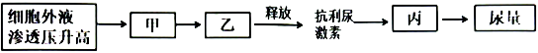 菁優(yōu)網(wǎng)