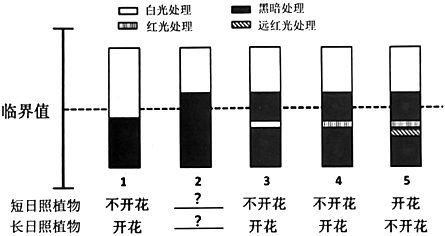 菁優(yōu)網