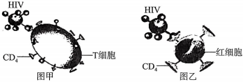 菁優(yōu)網