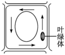 菁優(yōu)網