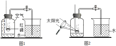 菁優(yōu)網