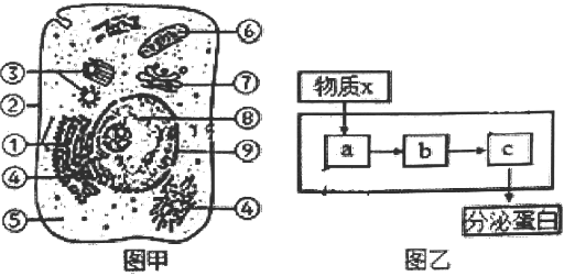 菁優(yōu)網(wǎng)