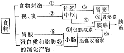 菁優(yōu)網(wǎng)