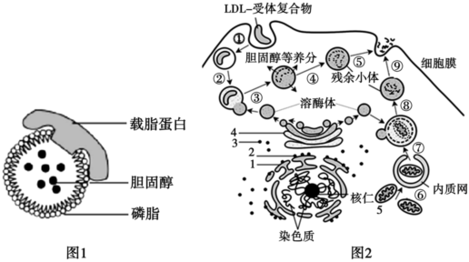 菁優(yōu)網