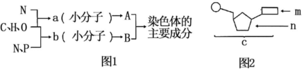 菁優(yōu)網