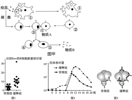 菁優(yōu)網