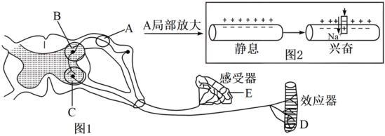 菁優(yōu)網