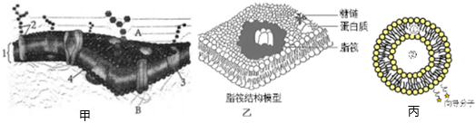 菁優(yōu)網(wǎng)