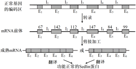 菁優(yōu)網