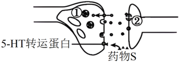 菁優(yōu)網