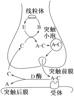 菁優(yōu)網