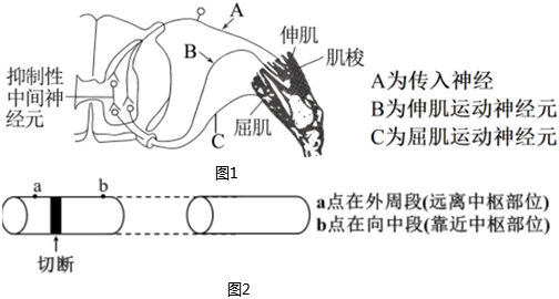 菁優(yōu)網(wǎng)