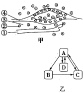 菁優(yōu)網(wǎng)