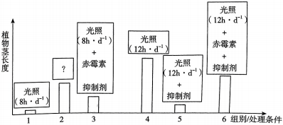 菁優(yōu)網