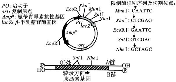 菁優(yōu)網