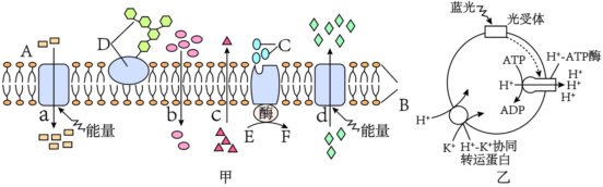 菁優(yōu)網(wǎng)