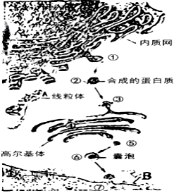 菁優(yōu)網(wǎng)