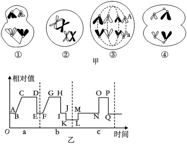 菁優(yōu)網