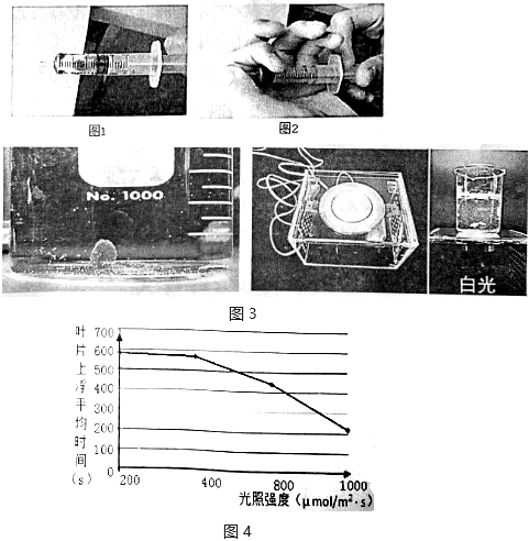 菁優(yōu)網