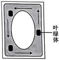 菁優(yōu)網