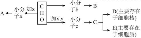 菁優(yōu)網