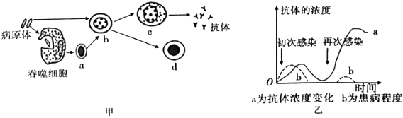 菁優(yōu)網