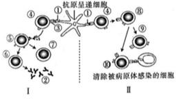 菁優(yōu)網